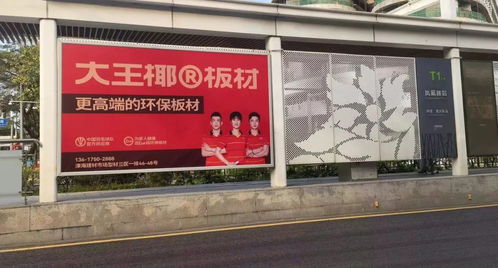 大王椰板材全新國羽廣告燃動全國