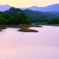 信息流廣告代理公司 杭州廣告市場(chǎng)的專業(yè)選擇