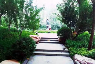 菏澤 環堤公園南區景點