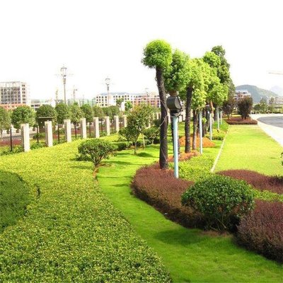 山南園林綠化施工 市政綠化