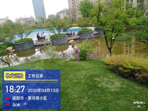 亮點 物業(yè)園林綠化整改提升小區(qū)環(huán)境品質