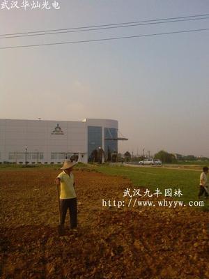 園林綠化設(shè)計(jì),施工,苗木,花卉,草坪出售,工廠,廠商-武漢市久逢園林工程