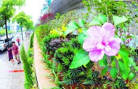 垂直綠化熱潮四起 擋土墻也穿綠裝