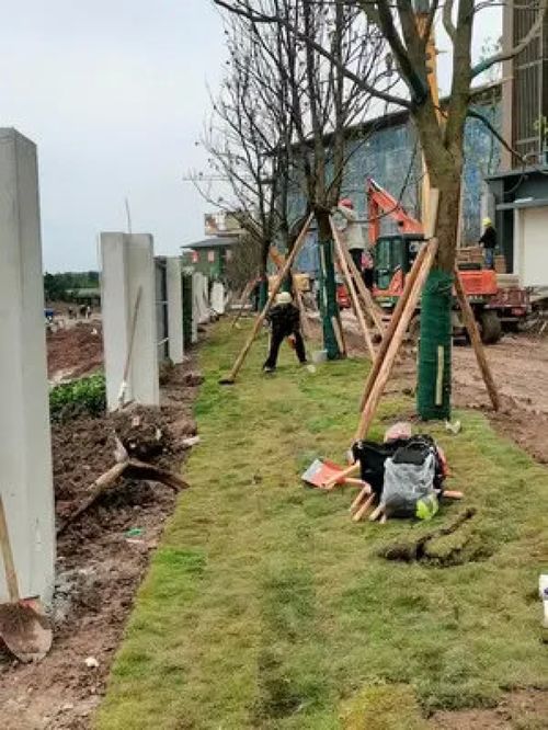 大爺89歲還為人民服務(wù),根本沒有假期 施工現(xiàn)場實(shí)拍 致敬平凡的你 施工現(xiàn)場 園林綠化工程