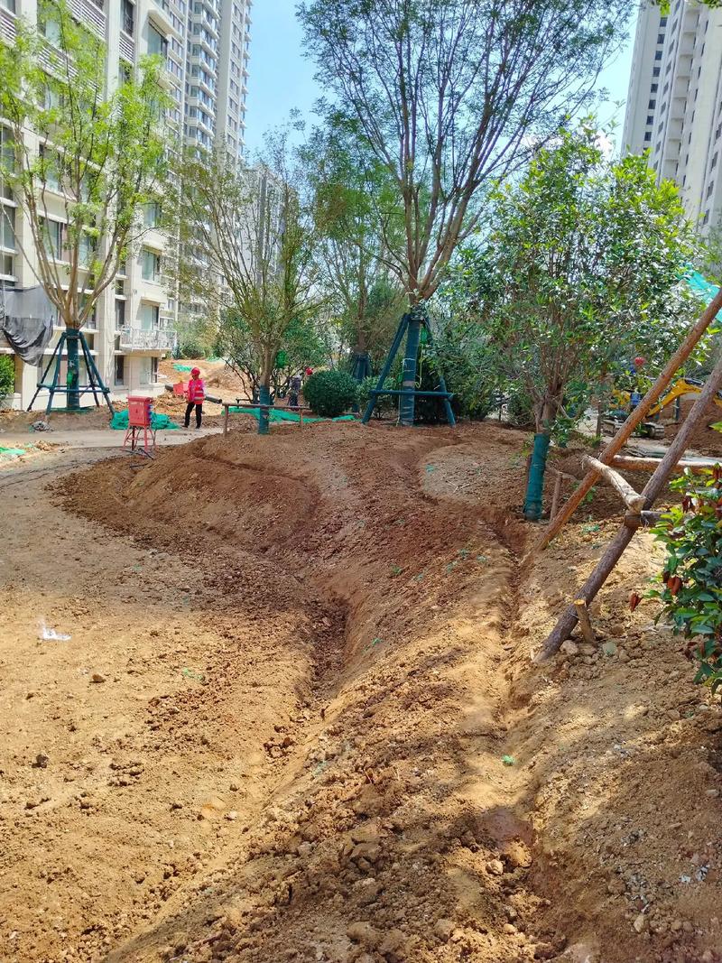 園林綠化工程 #施工現(xiàn)場(chǎng)實(shí)拍